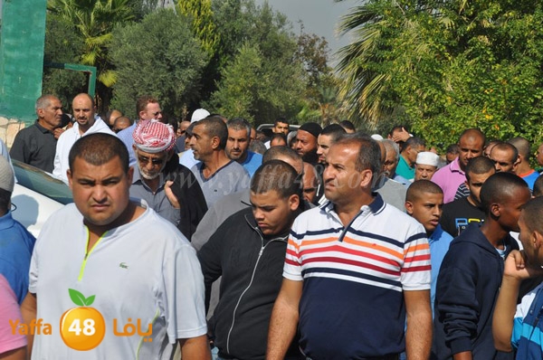 Janza yosef 3obra (11).JPG